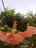 P120701002