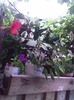 Imag042