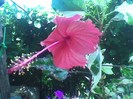 Imag043