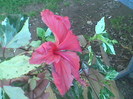 Imag051
