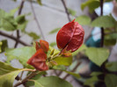 DSC09759