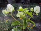 DSC09724