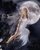 images (7)