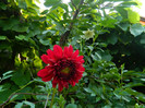 DSCN8713