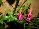 DSCN8755