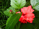 DSCN8761