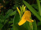 DSCN8772