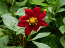 DSCN8773