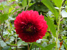 DSCN8776