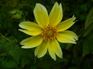 DSCN8780
