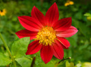 DSCN8781