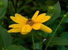 DSCN8785