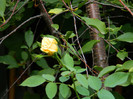 DSCN8794