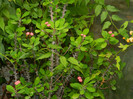 DSCN8797