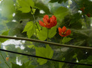 DSCN8801