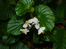 DSCN8806