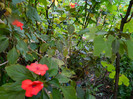 DSCN8808