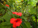 DSCN8811