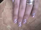 dsc00388t