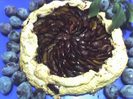 galette cu prune