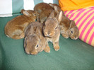 foto 012
