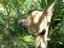 DSCN0051