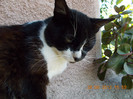 DSCN0020