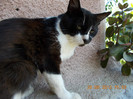 DSCN0023