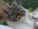 DSCN0025