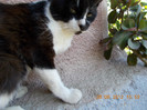 DSCN0024