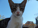 DSCN0032