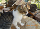 DSCN0036