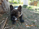 DSCN0037