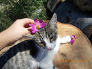DSCN0086