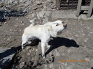 DSCN0139