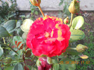 DSCN1892