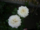 SDC14045