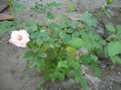 SDC14071