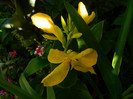 DSCN8831