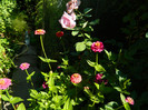 DSCN8834