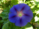 DSCN8836