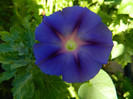 DSCN8837