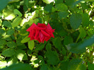 DSCN8842