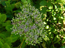 DSCN8844