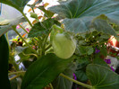 DSCN8856