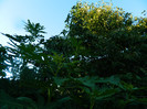 DSCN8876