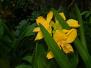 DSCN8908
