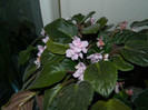 DSCN8922