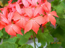 DSCN1172