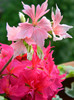 DSCN0514